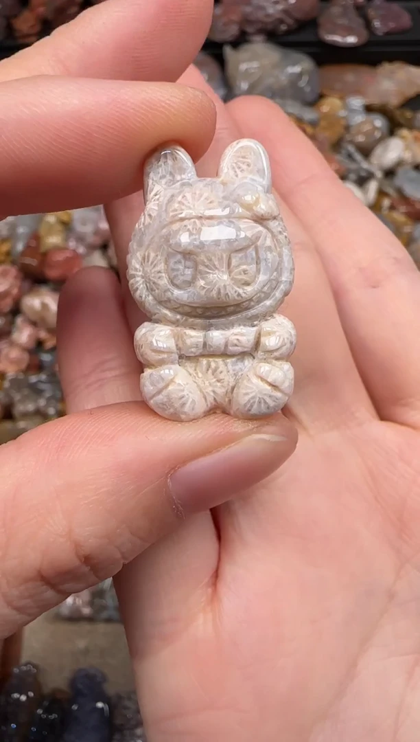 硅化珊瑚（珊瑚玉）未镶嵌颈饰313