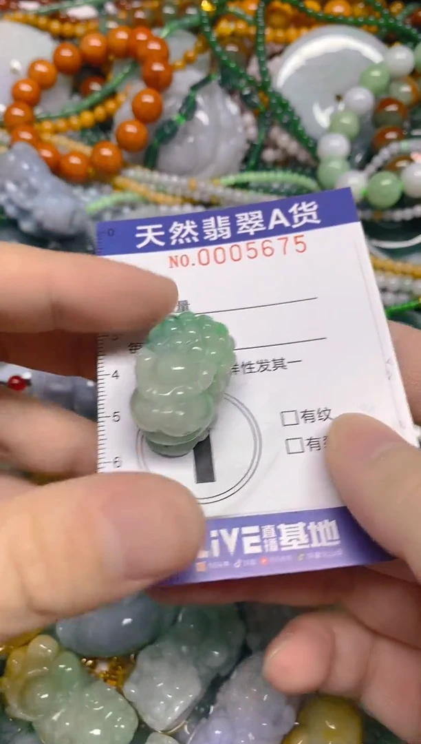 颈饰未镶嵌翡翠0005675