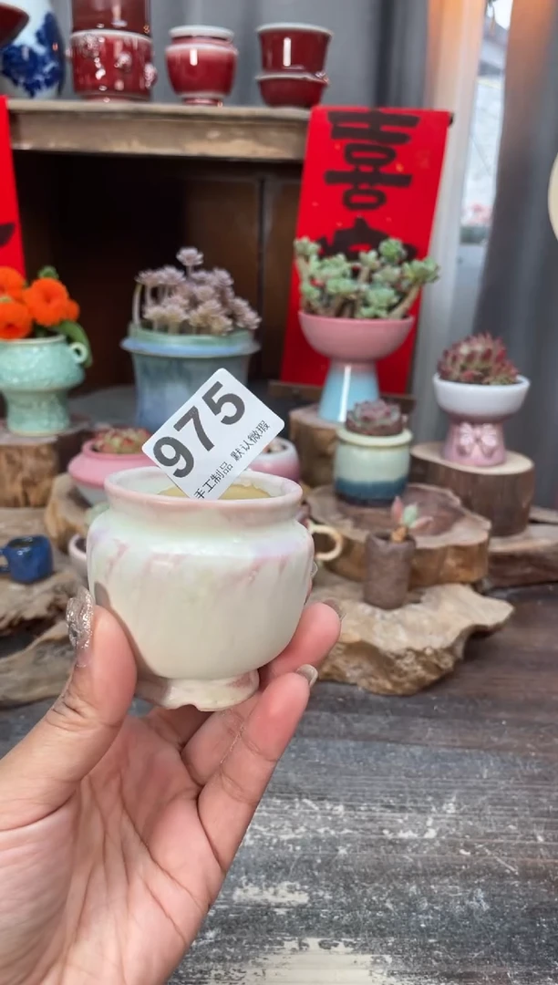 【闪购商品】摆件975知木小芳花盆