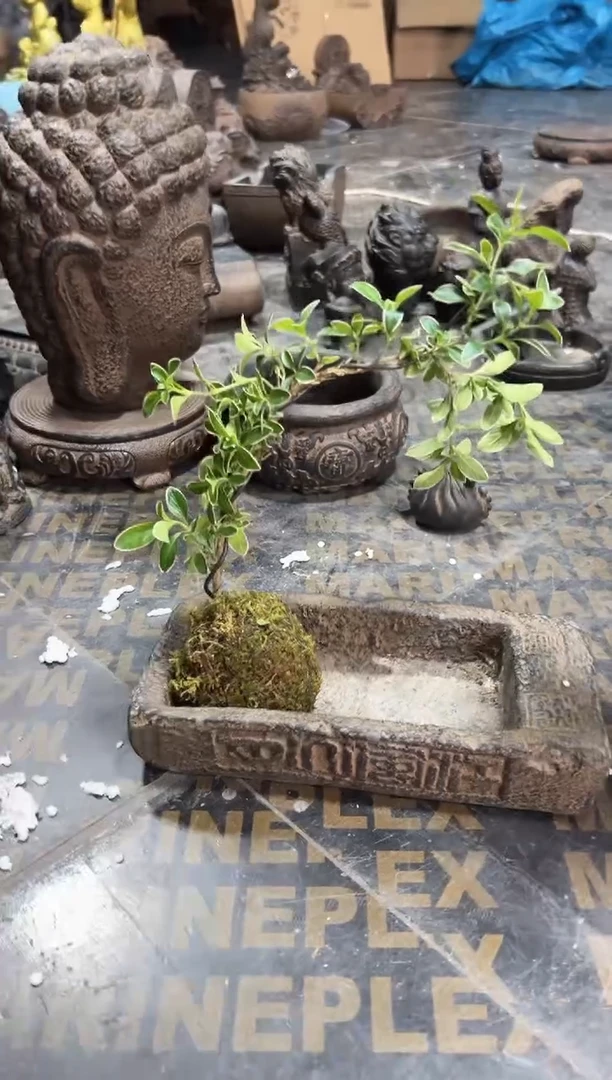 陶土【火山泥】江枫盆