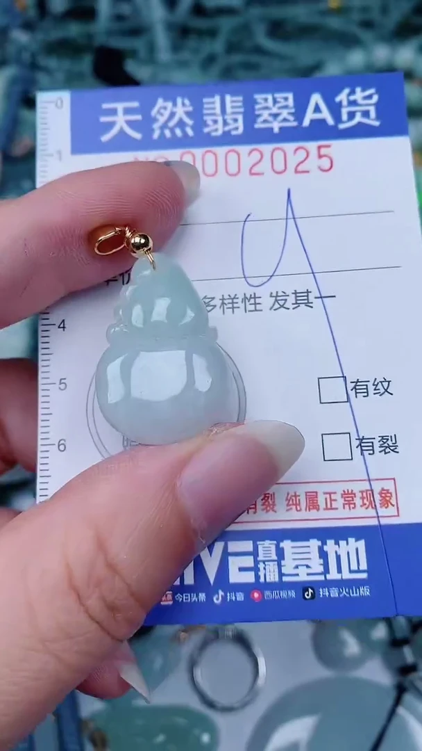 翡翠未镶嵌颈饰00002025