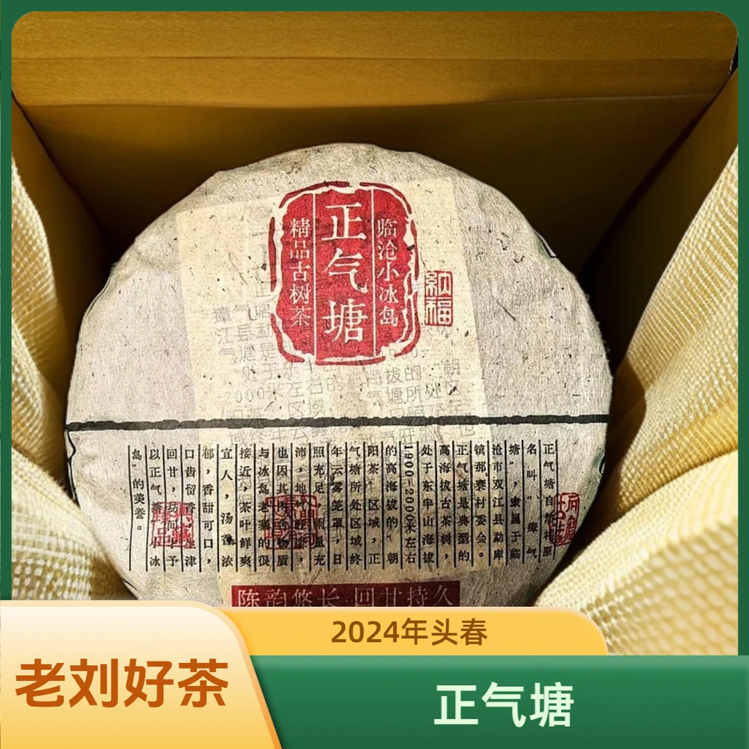 2024年春《正气塘》古树纯料 陈韵悠长 回甘持久 普洱生茶  200g/饼