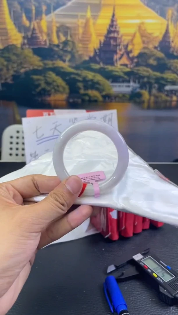 未镶嵌手镯翡翠5