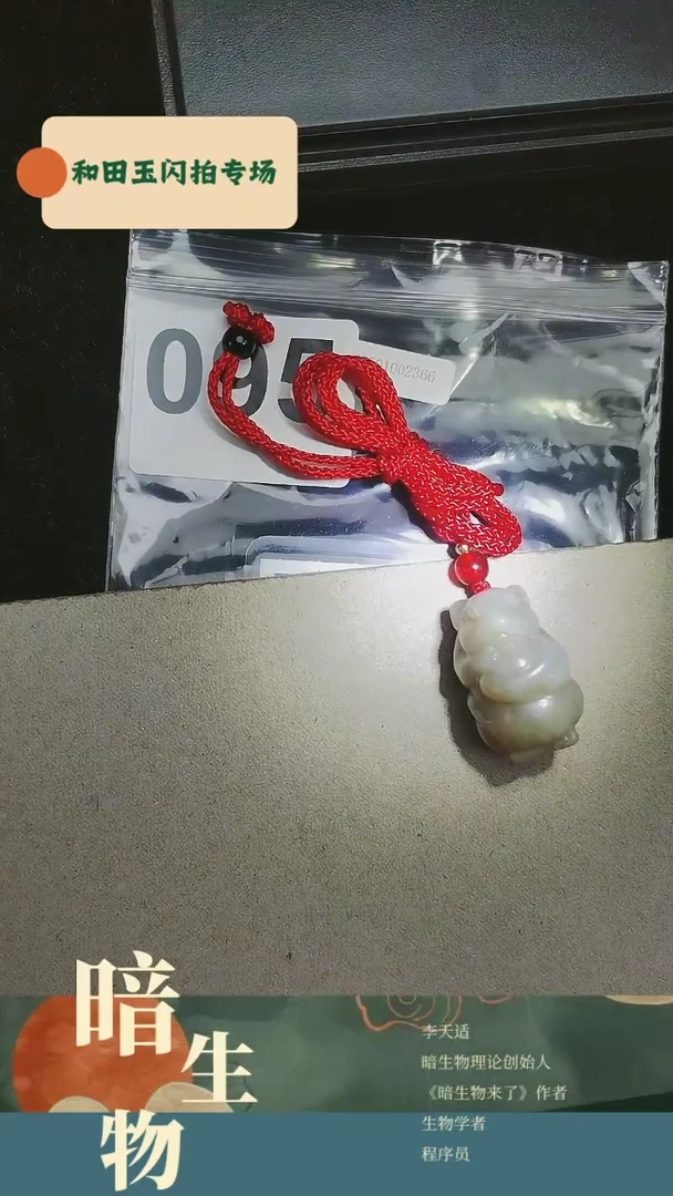 【闪购商品】和田玉吊坠(赠链)未镶嵌95