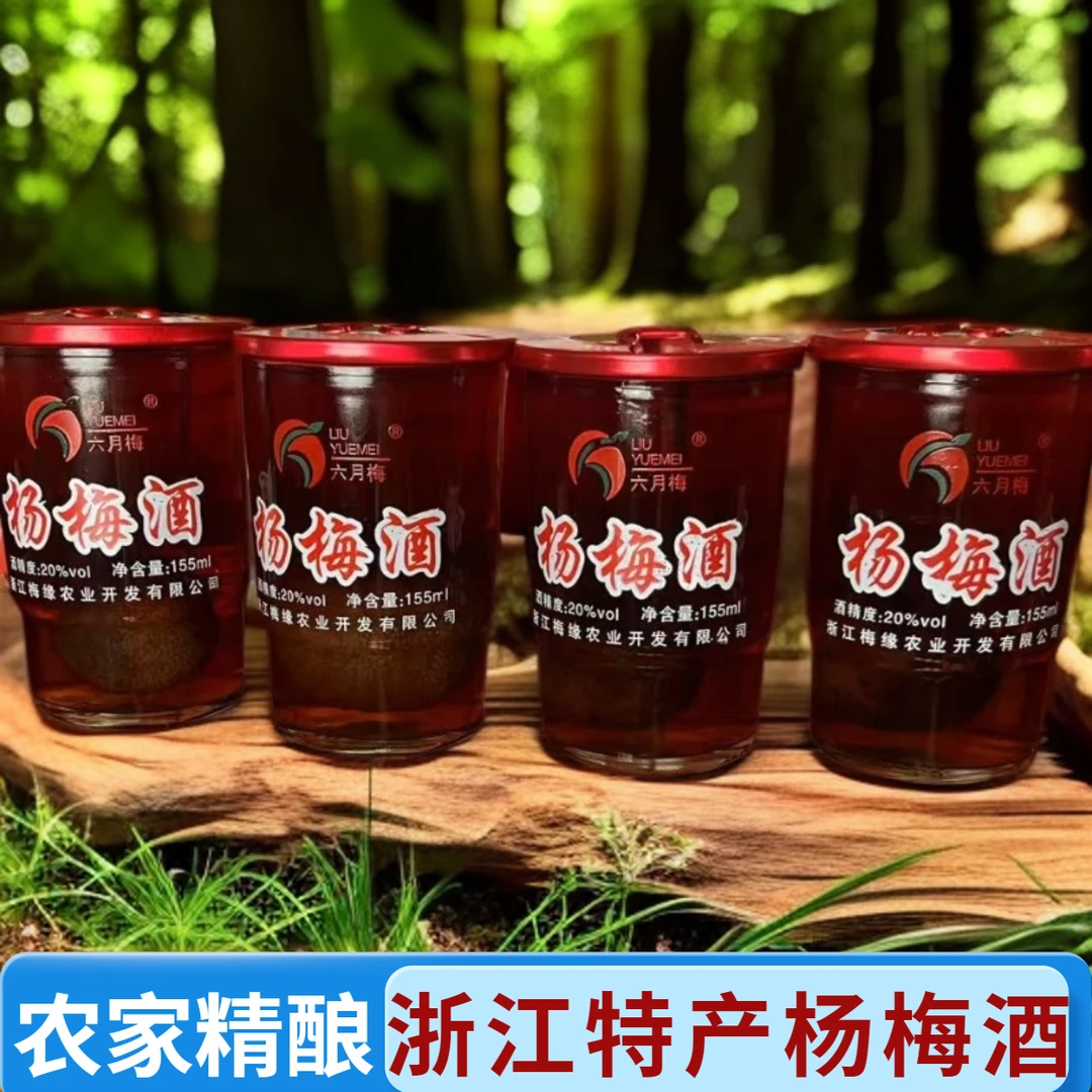 正宗仙居农家自酿果酒网红泡酒正宗杨梅果酒杨梅杨梅酒正宗