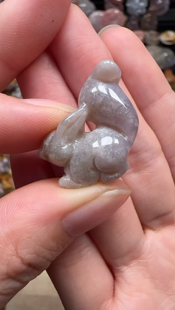 颈饰未镶嵌硅化珊瑚（珊瑚玉）481