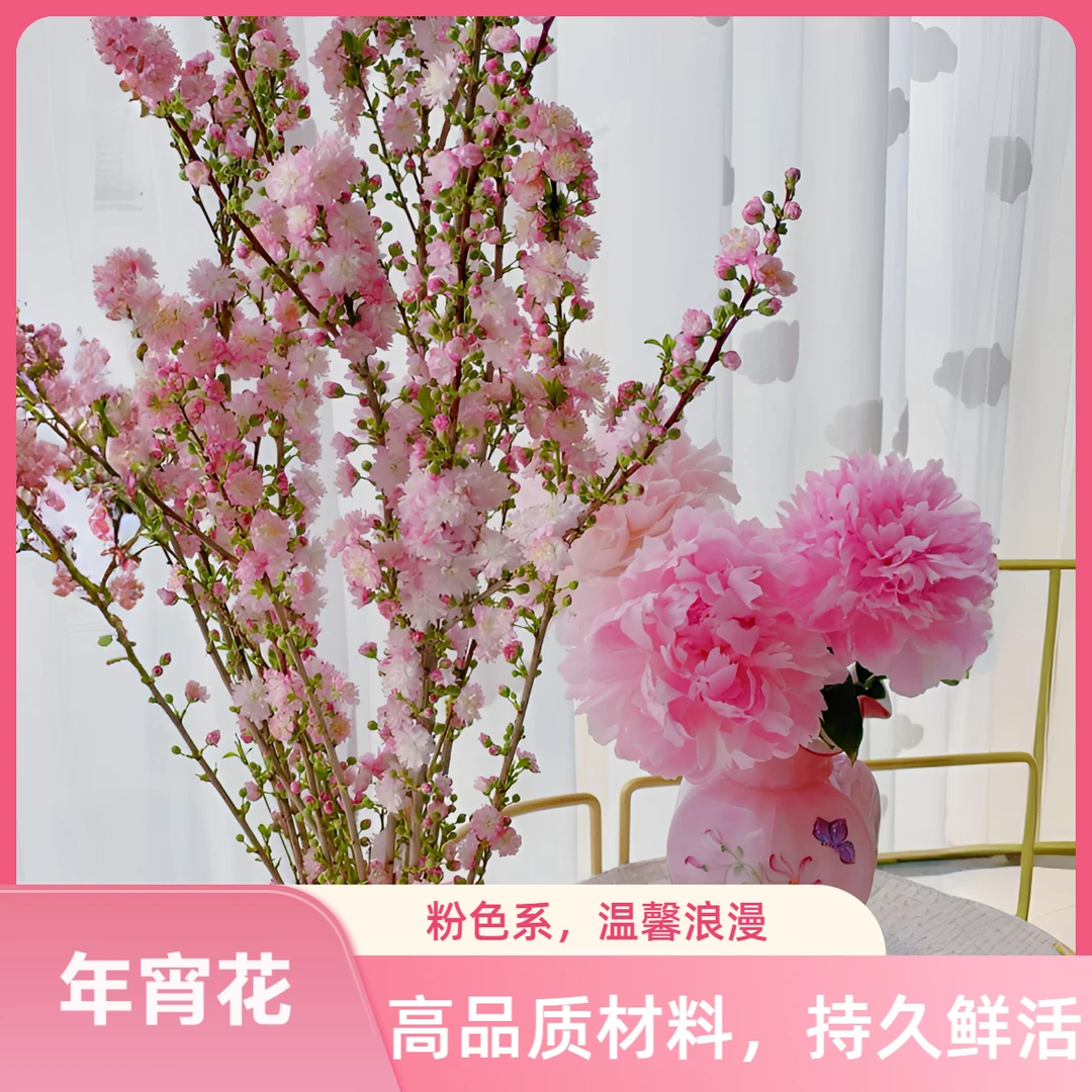 水培珍珠李枝樱花鲜花绿植物室内好养花卉桃花束水养雪柳干枝