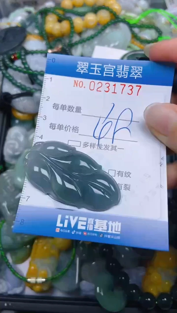 颈饰未镶嵌翡翠闪购C0231727