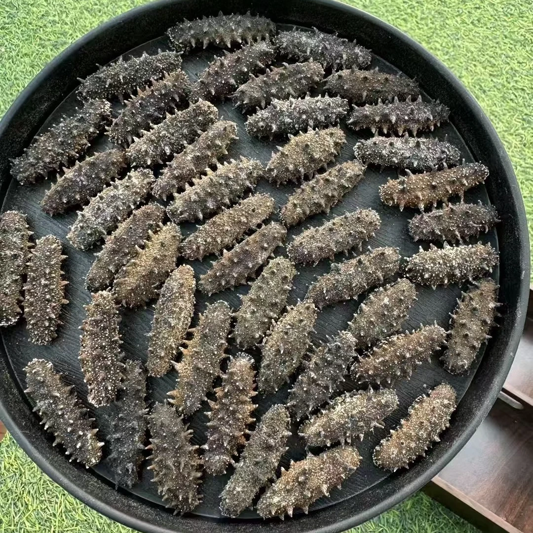 纯淡干海参一斤蚂蚁島/500g