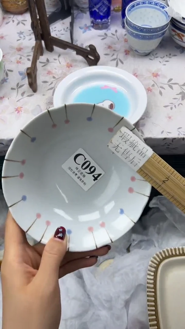 瓷片          C094