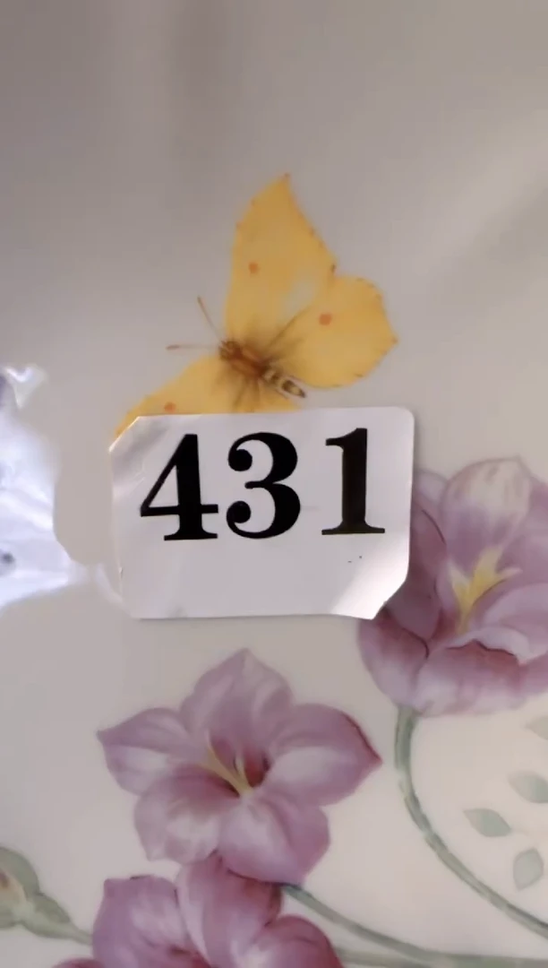 2个盘子瓷************