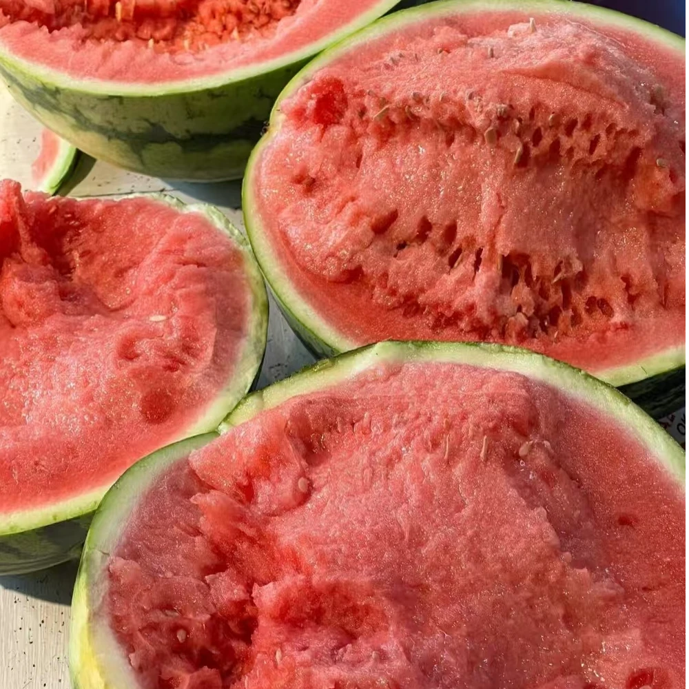 【一颗】美都麒麟西瓜（5斤左右）山西省