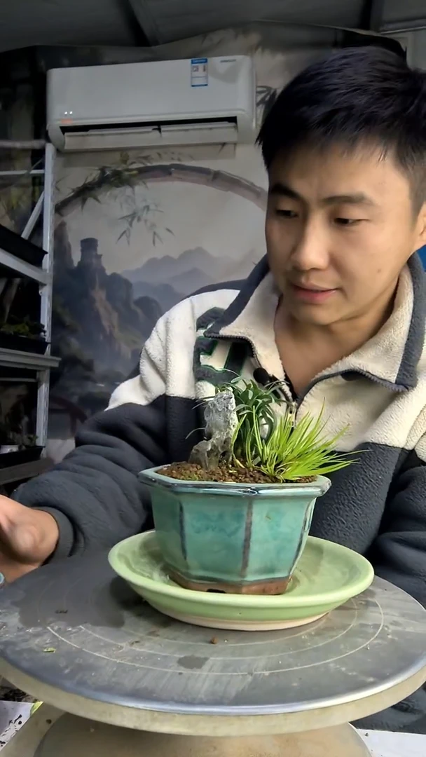 用****2中青园艺一物一拍花204