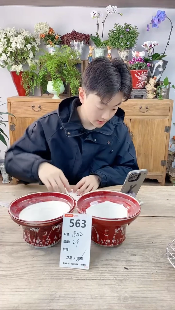 小玩子花盆直播编号563