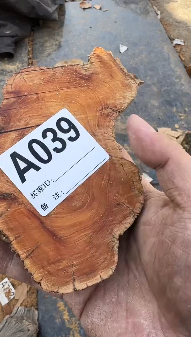 【闪购商品】柏木（崖柏）太行崖柏切片一片