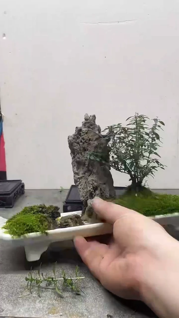 无花朵您*350