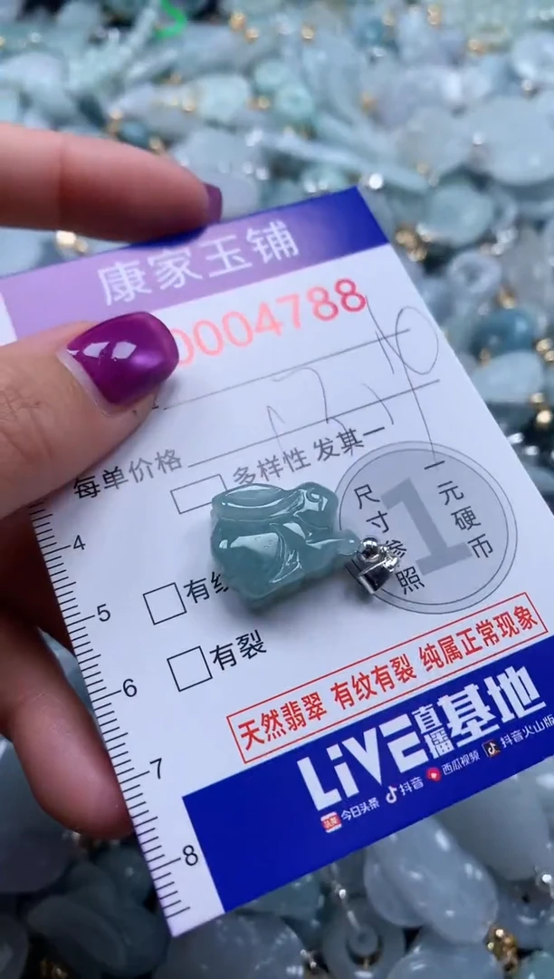 颈饰未镶嵌翡翠4788