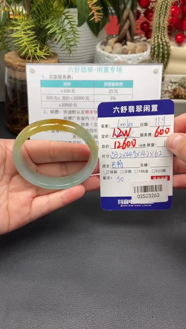 未镶嵌手镯翡翠L****oD2523263