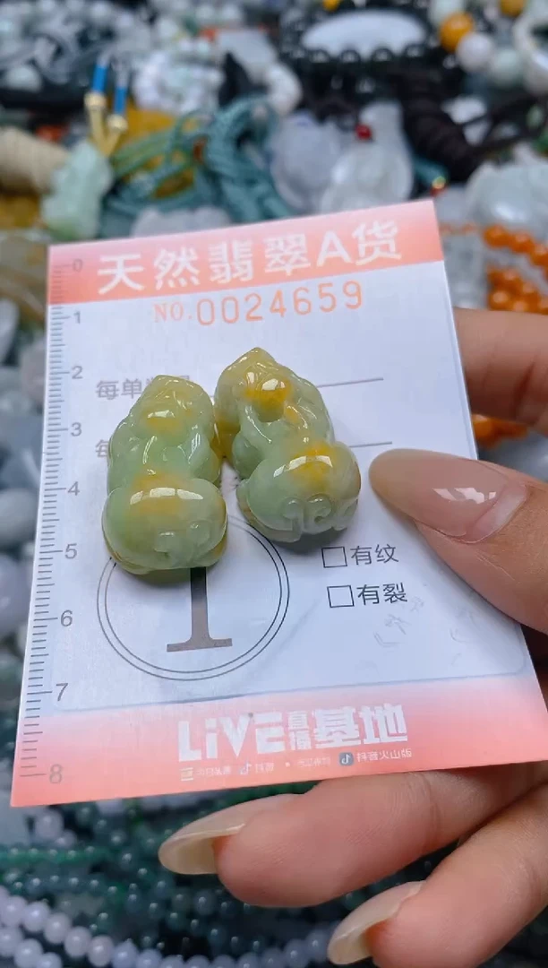 翡翠未镶嵌颈饰闪购0024659