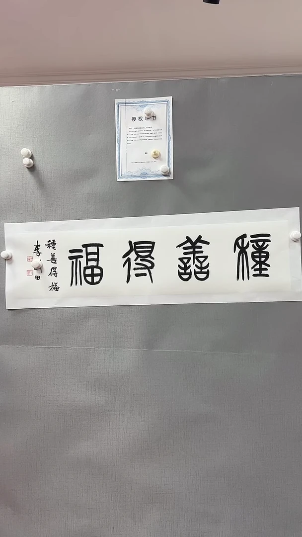 【闪购商品】书法雅艺典藏文化书法