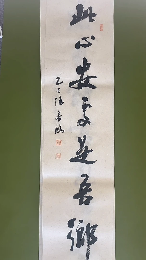书法书法 张若鸿 尺寸105cm*26cm