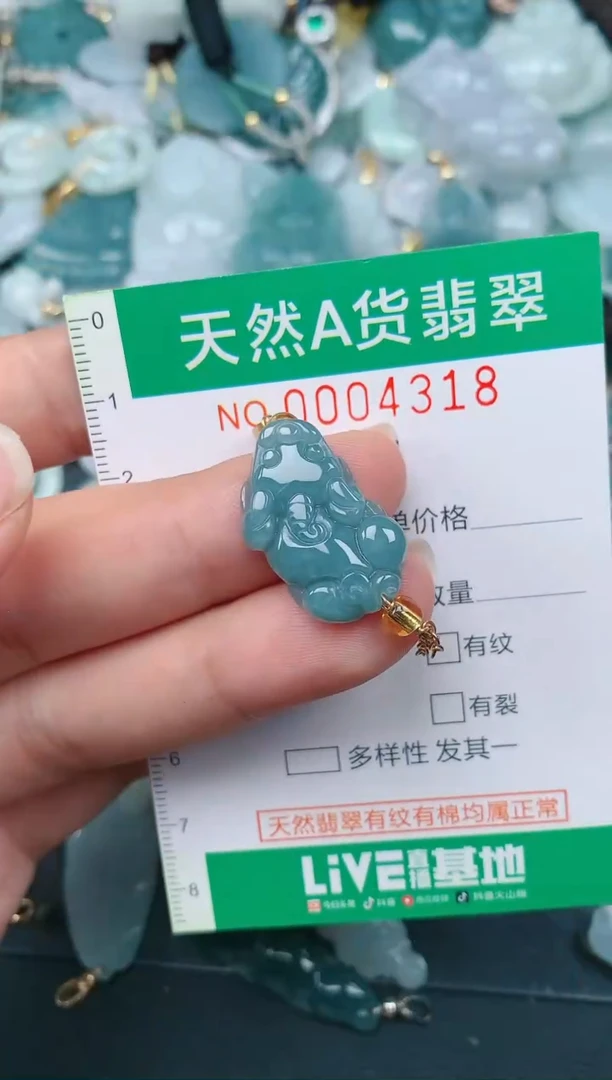 颈饰未镶嵌翡翠.0004318
