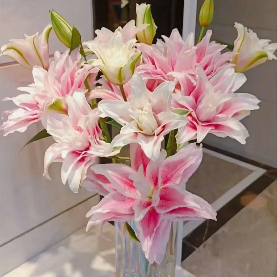 【重瓣百合可利鲜顺丰包邮】伊莎贝拉重瓣粉色百合云南鲜花基地直发