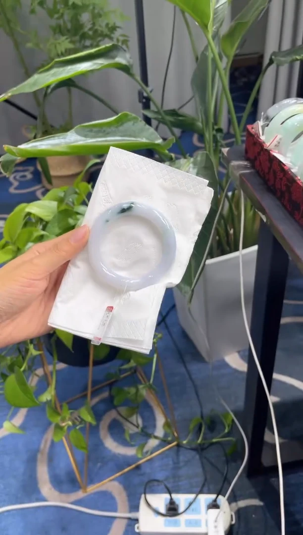 未镶嵌手镯翡翠4819