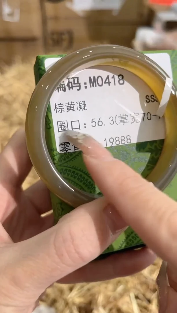 未镶嵌手镯石英质玉M0418