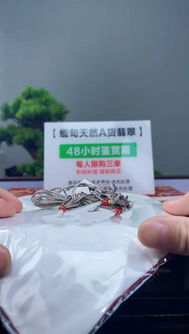 【闪购商品】翡翠颈饰未镶嵌一姐|560646|多样性发一件（配绳）