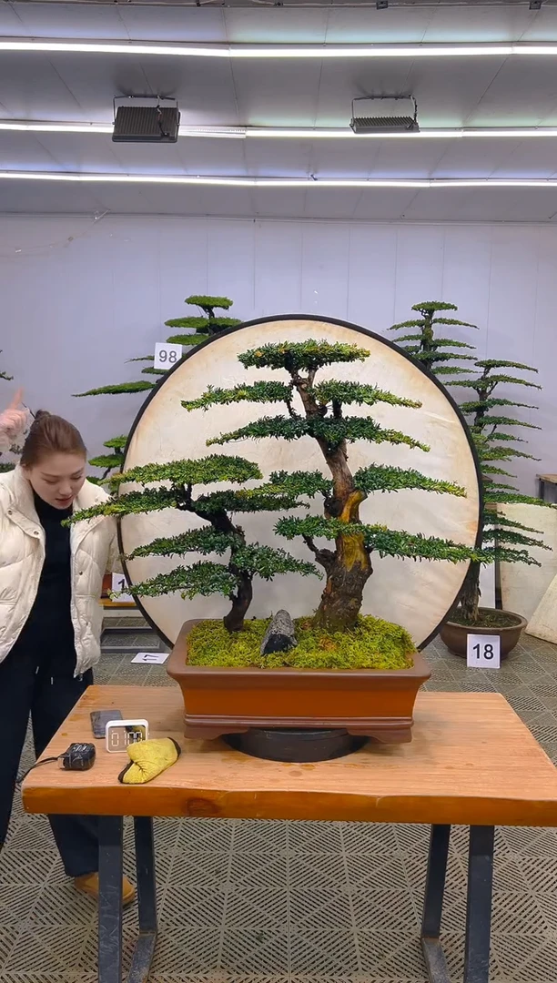 无花朵一物一拍一物一拍