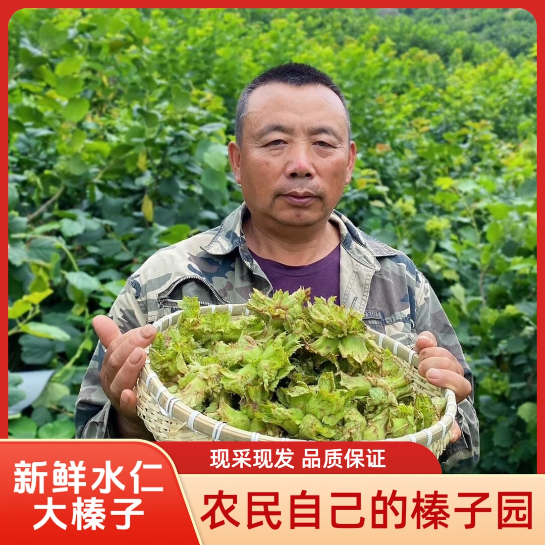 【倒计时1天】【圆通快递】新货鲜榛子青皮水仁大榛子东北铁岭榛子