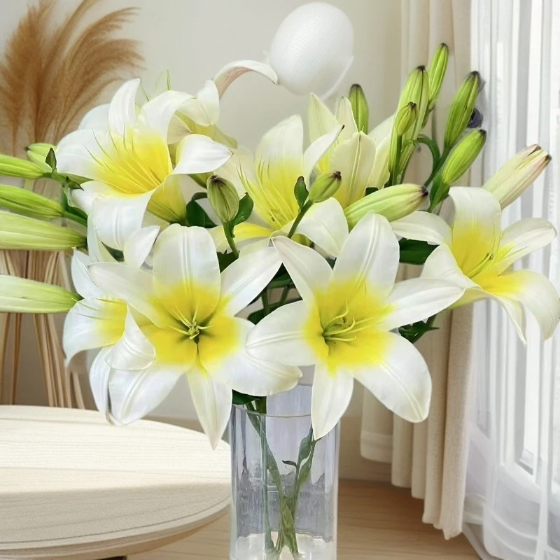 【若比邻优选】白色星球单瓣百合 淡香型 云南昆明基地直发