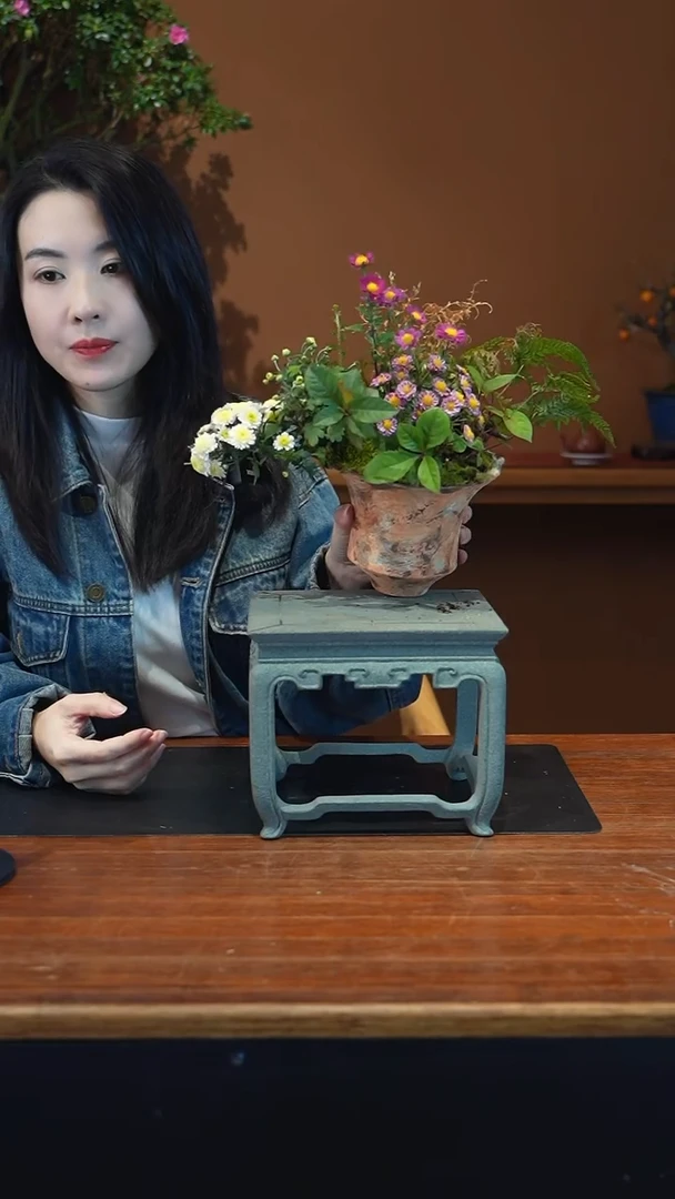 全部花朵山野草盆景盆景盆景