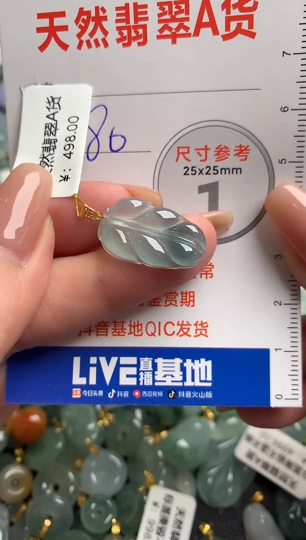 【闪购商品】翡翠颈饰18K金镶嵌14003683