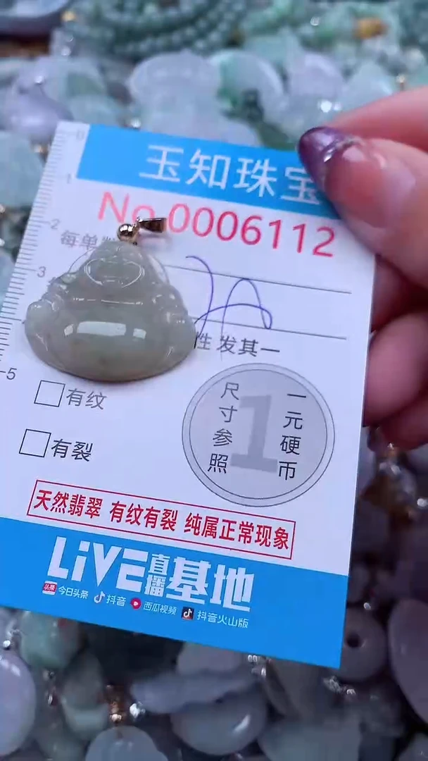 翡翠未镶嵌吊坠(不含链)6112