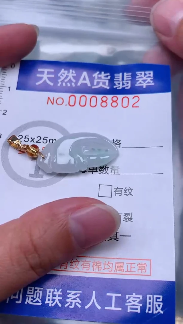 吊坠(赠链)未镶嵌翡翠1