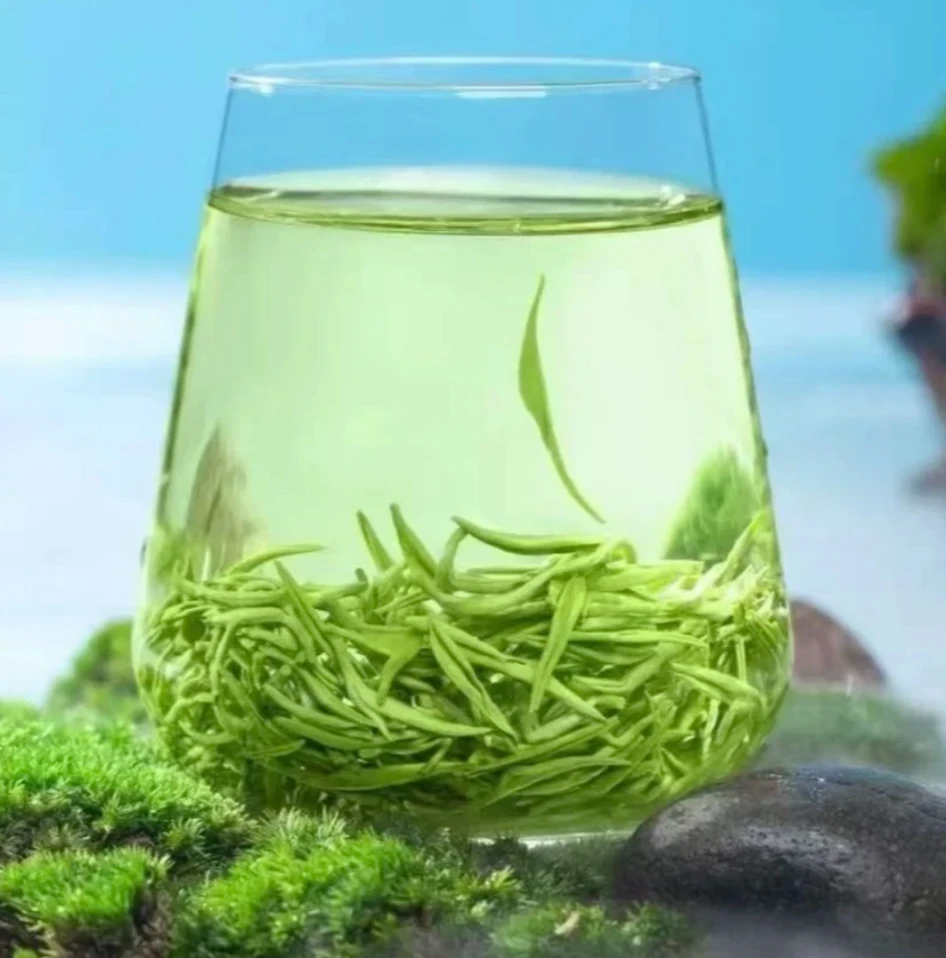 2025高山云雾绿茶新茶毛尖浓香耐泡型