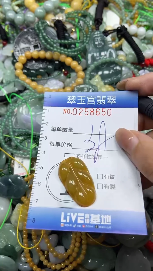 颈饰未镶嵌翡翠闪购C0258650