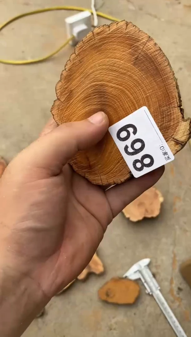 柏木（崖柏）太行陈化崖柏随机一片869