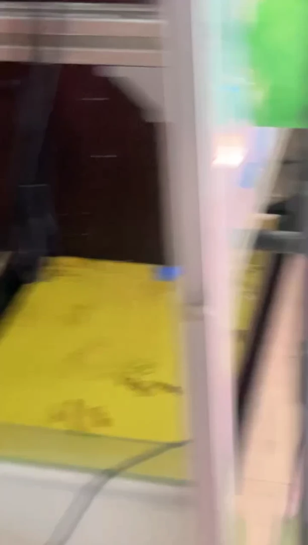 鼠鱼益****.不知名倒掉鼠2条 4cm左右