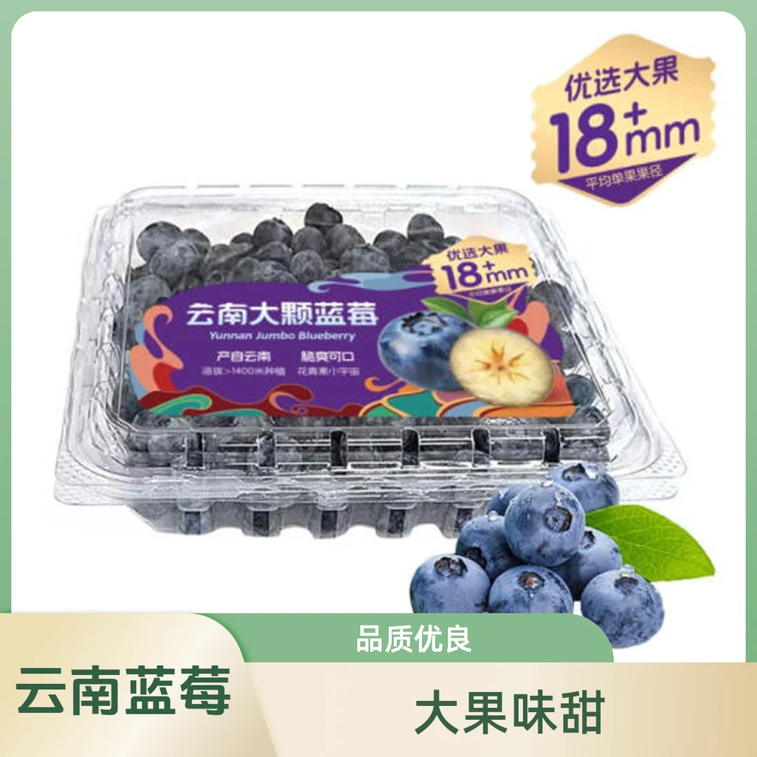 云南大颗蓝莓500g (平均单果果径18mm+)