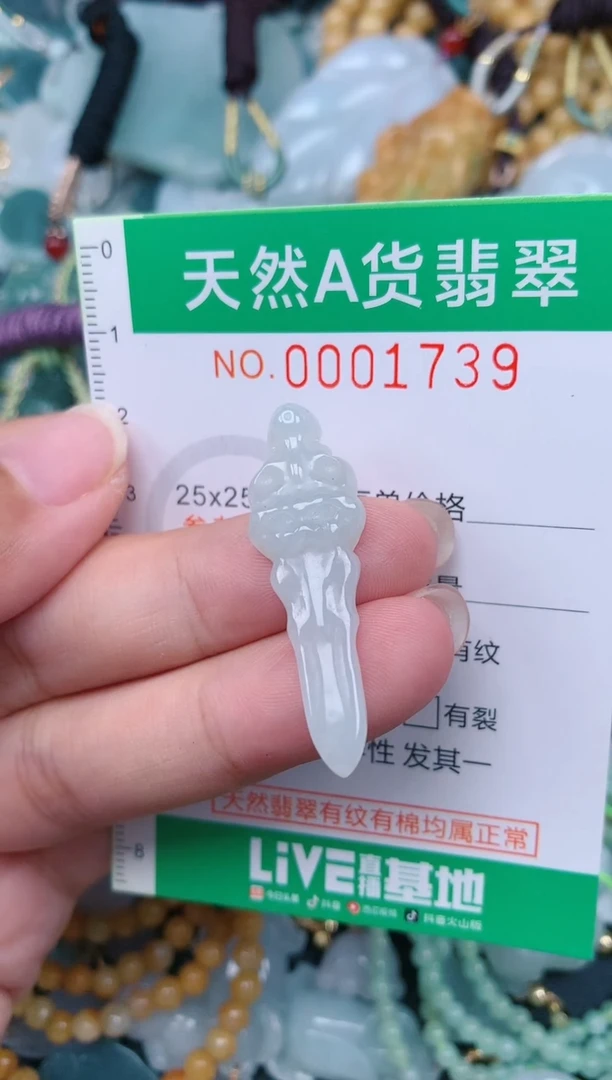 颈饰未镶嵌翡翠.0001739
