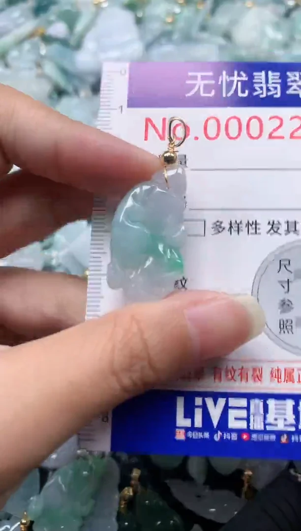 颈饰未镶嵌翡翠2266
