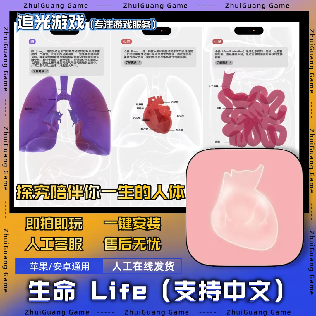 生命 Life 中文版 支持苹果/安卓 游戏安装服务