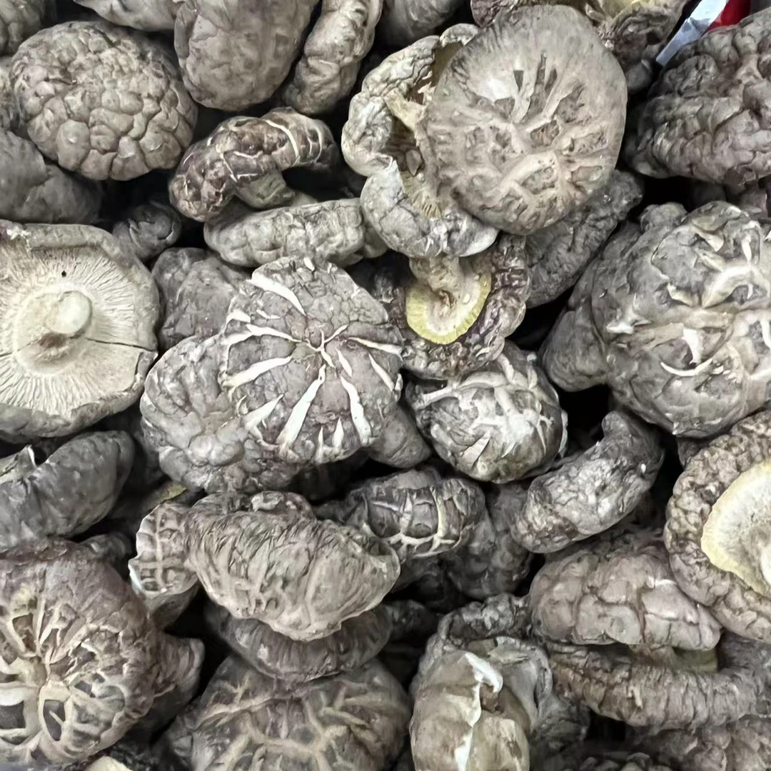 大号椴木花菇精选厚肉干货250克食用营养