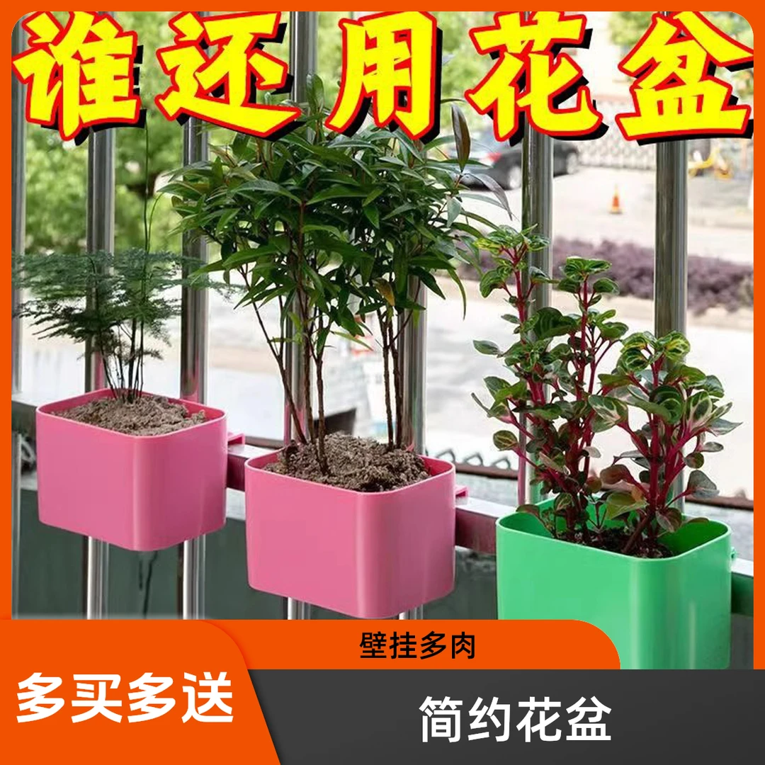 悬挂式简约壁挂式多功能绿植多肉花架养花花架子阳台花盆置物架