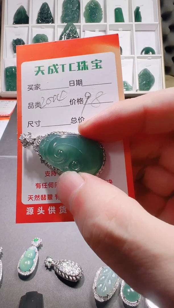 颈饰未镶嵌翡翠天然A货翡翠挂件