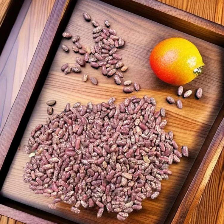 云南昭通镇雄农家本地红花豆云豆芸豆花芸豆