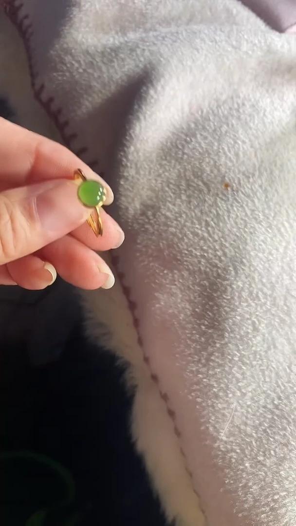 未镶嵌戒指和田玉多样性发一件